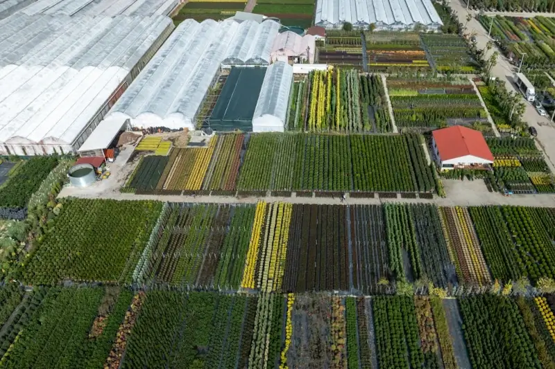 Fábrica de bolsas plásticas