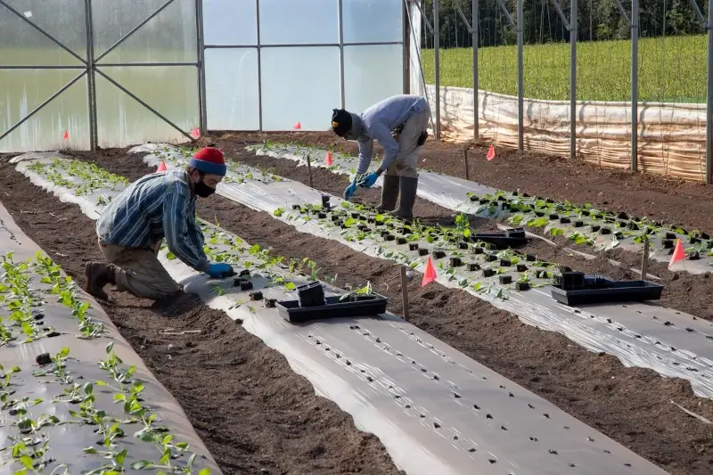 Plásticos para el campo Colombiano